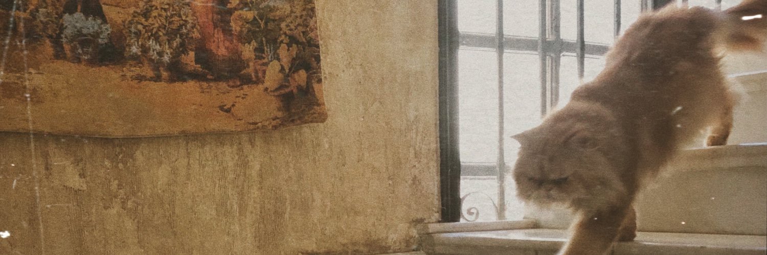 nouramrr19's profile banner image