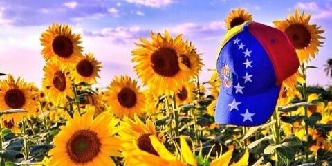 dayilemusr's profile banner image