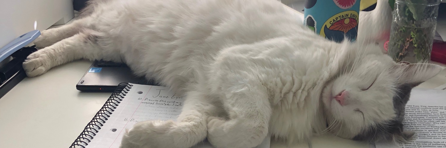 catdragon16's profile banner image