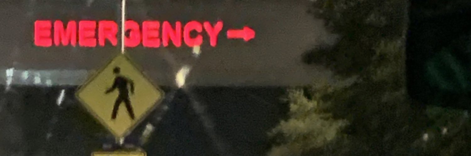 txalondraaa's profile banner image