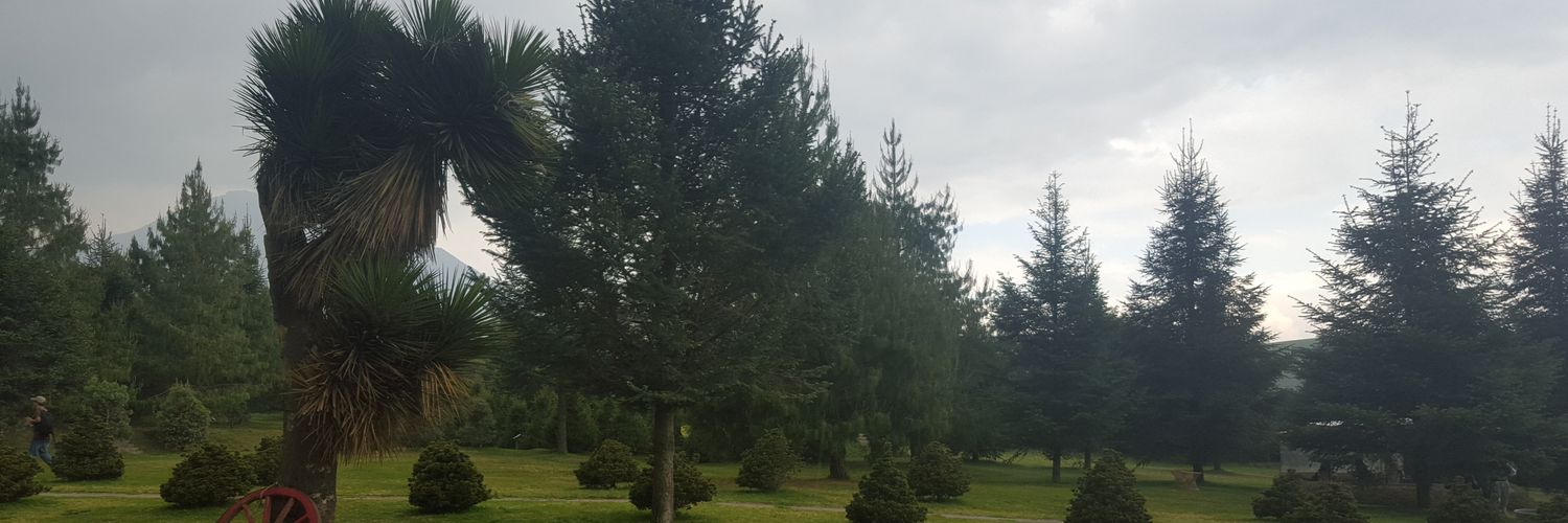 abrahamCHG's profile banner image