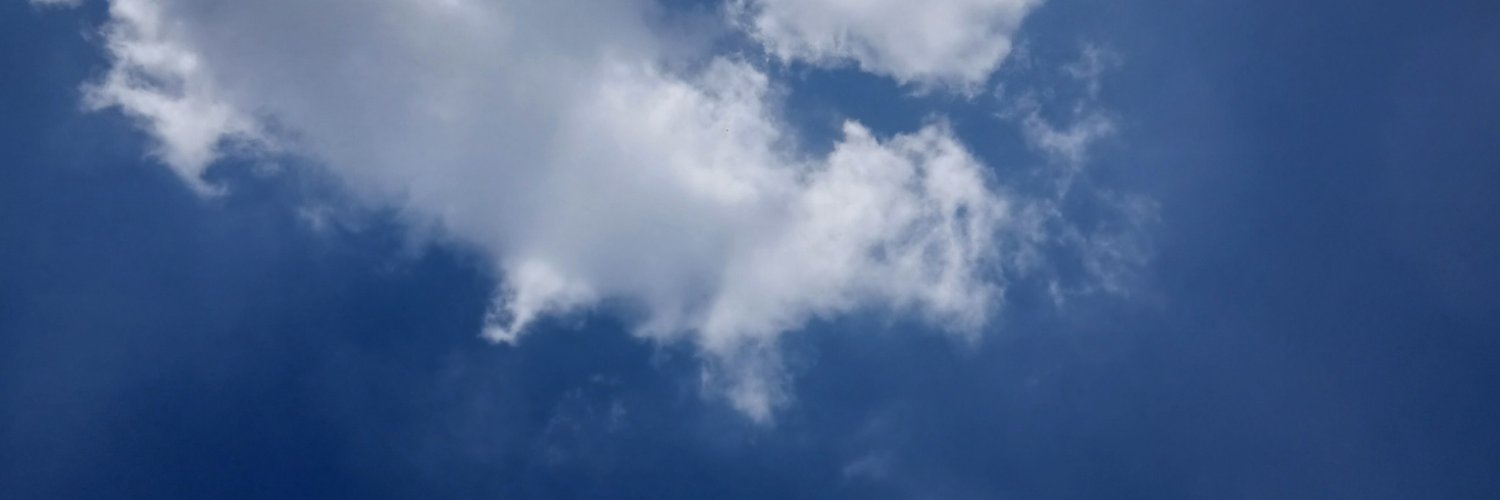 ditontwt's profile banner image