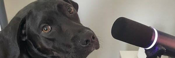 Zackery banner