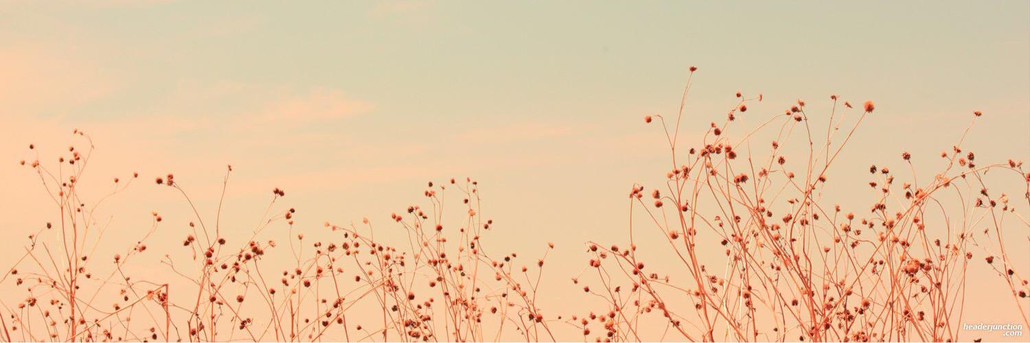 AshaMonnae's profile banner image