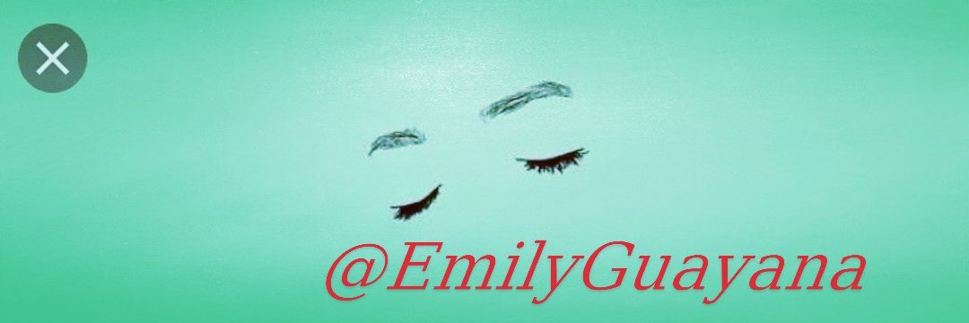 EmilyGuayana's profile banner image