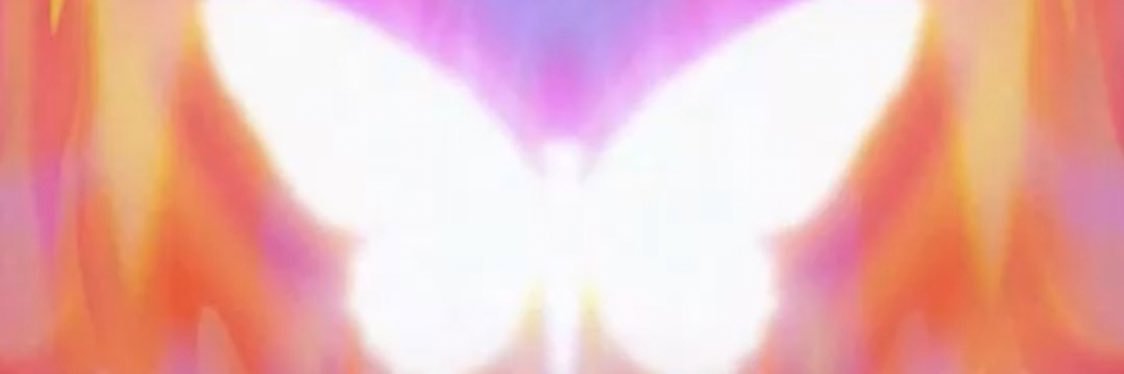 niccharpentier's profile banner image