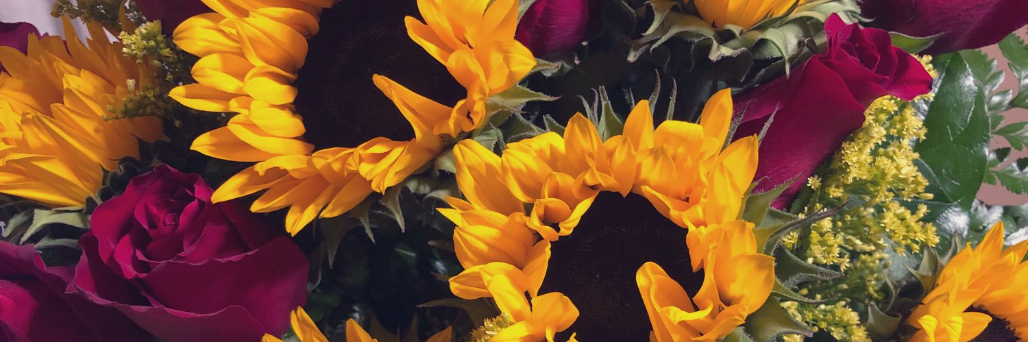 juliarosaless's profile banner image