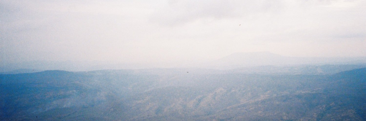 notwhyyyyy's profile banner image