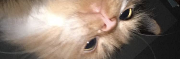 cduff_6's profile banner image