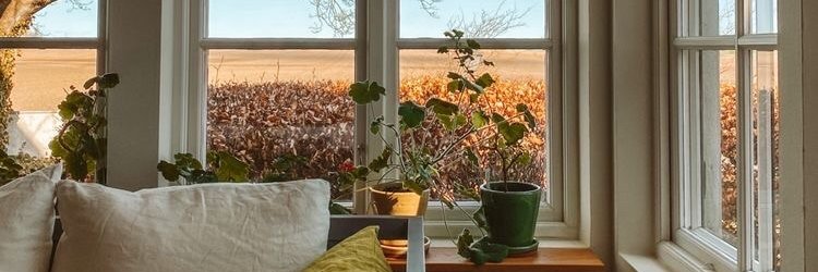 Mac_DeMag's profile banner image