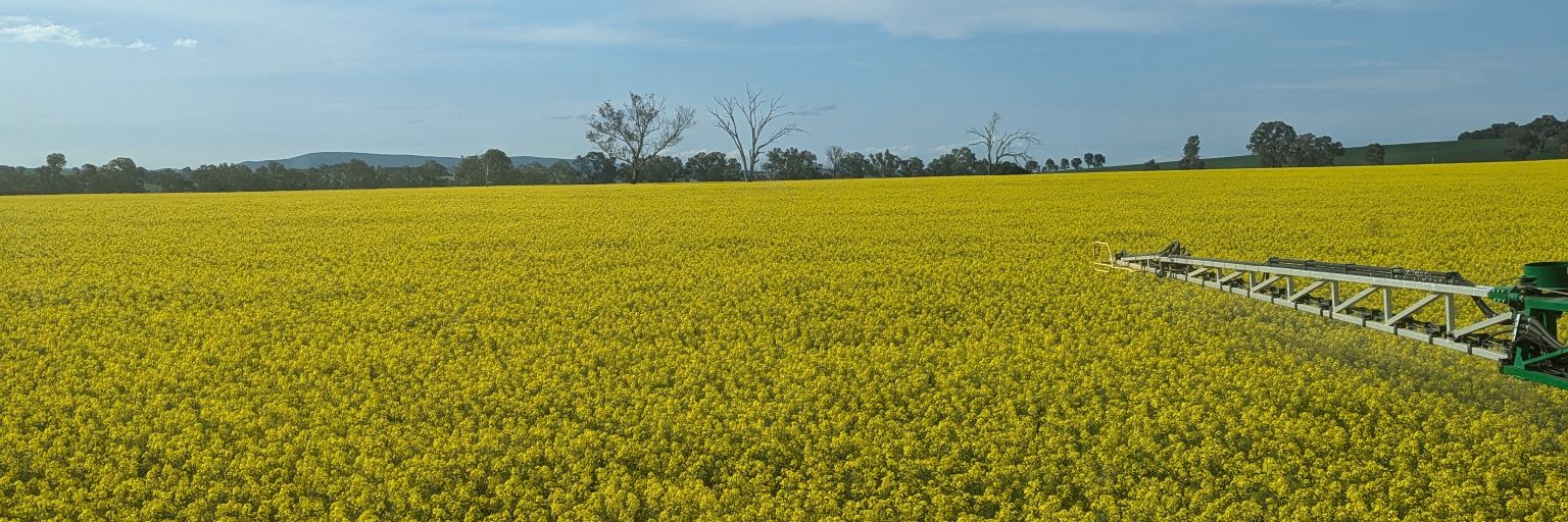 William Hodges banner