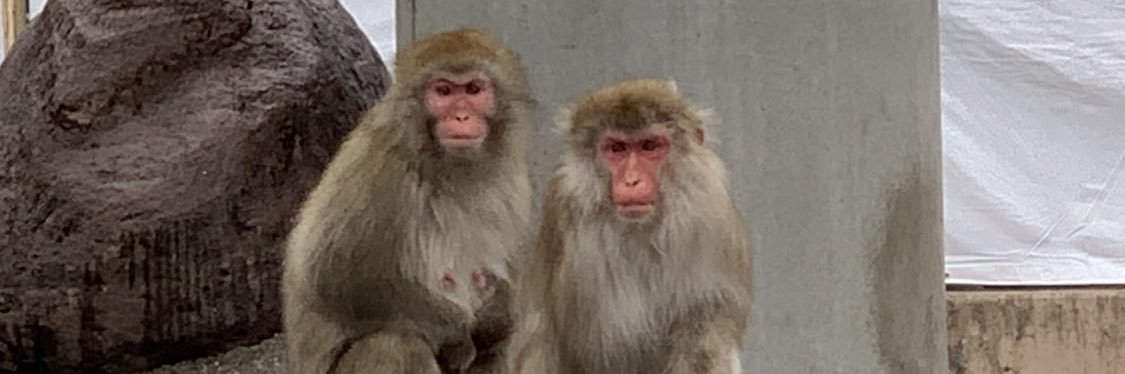 越崎　恭平 banner