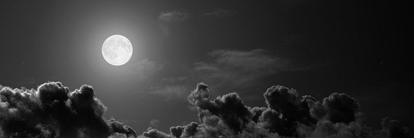 samidadza's profile banner image
