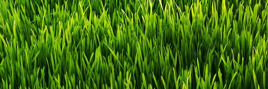 Watson_TJ's profile banner image