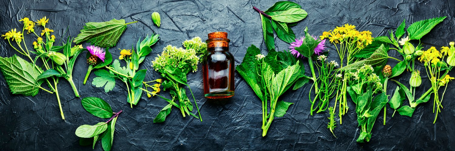 NaturalmenteTV_'s profile banner image