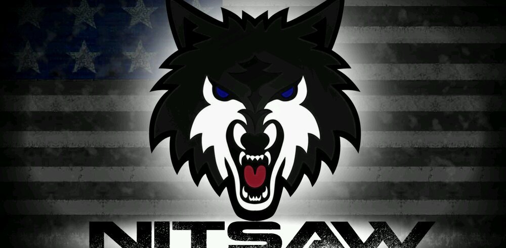 NitsyDaWerewolf's profile banner image