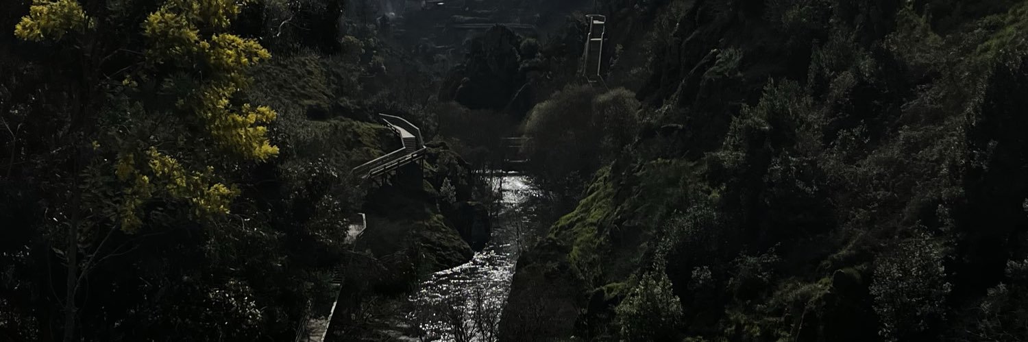 caralhovicxs's profile banner image