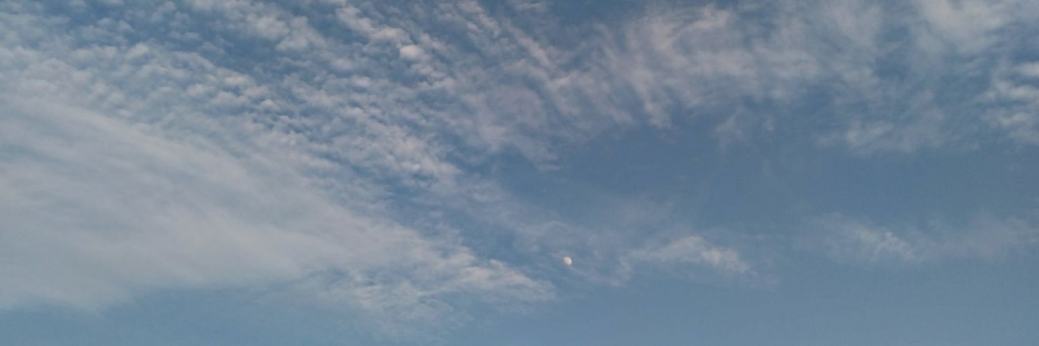 白土幸仁（埼玉県議会議員）しらとゆきひと's banner