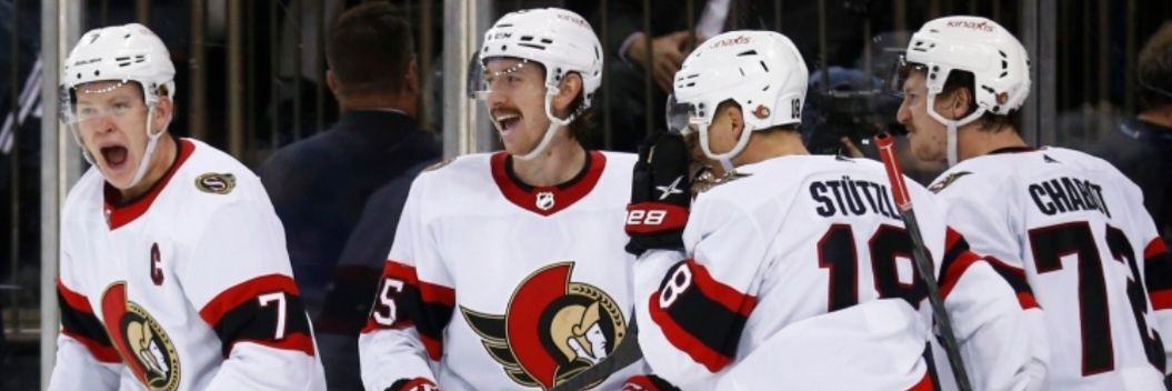 Sens Fan banner