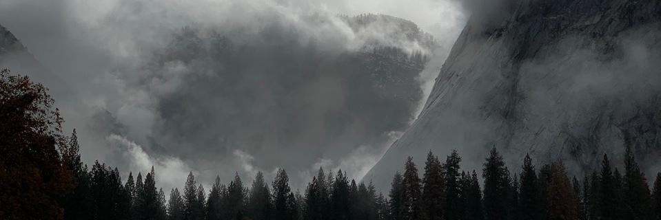 saint croissant banner