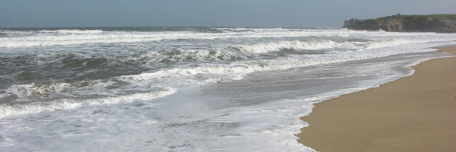 PamJoFish's profile banner image