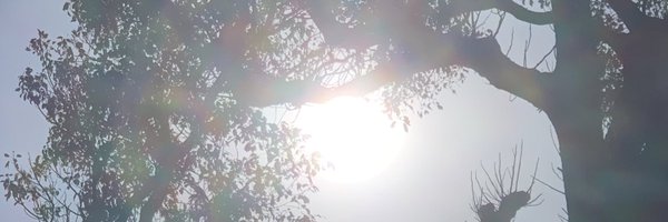 motoyankk Profile Banner