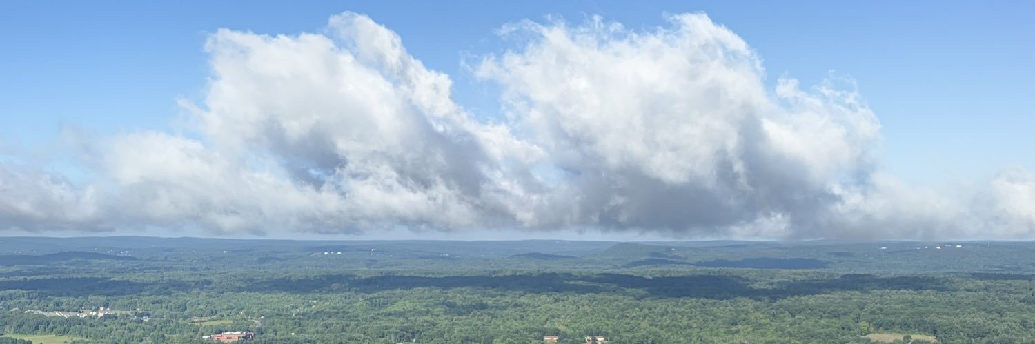 organicends's profile banner image