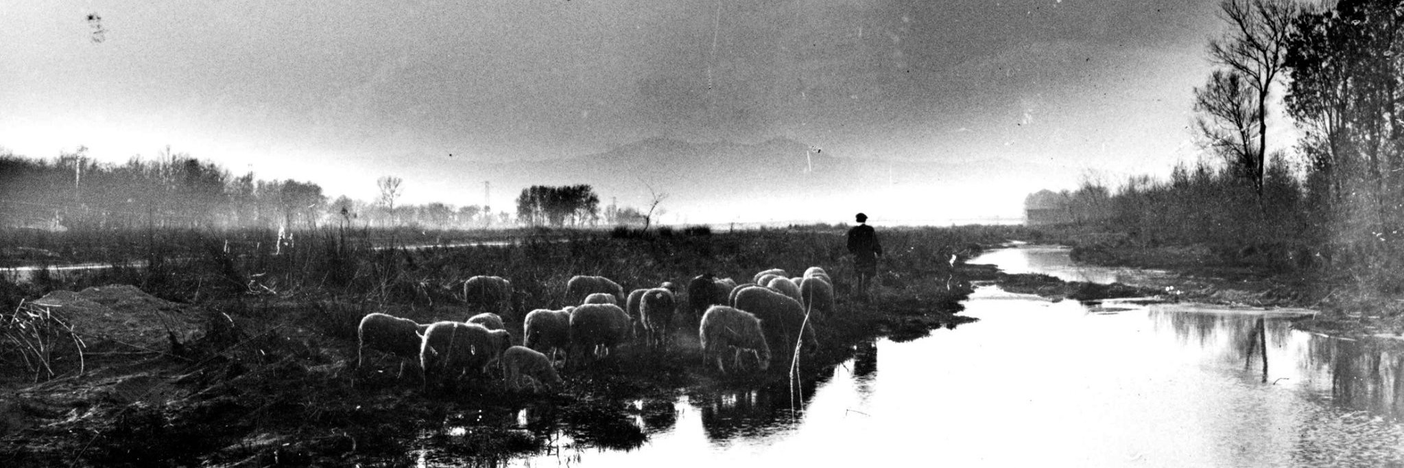 Antoni Vélez 💛 banner