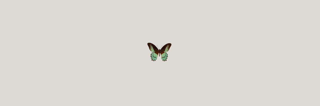 sunlitregui's profile banner image