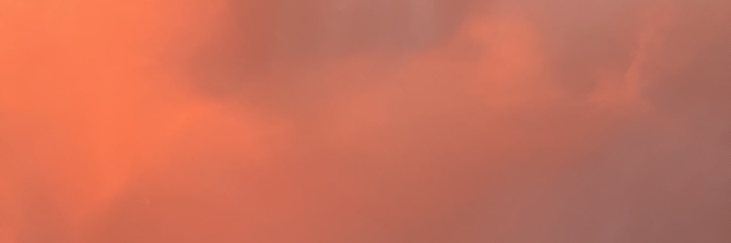 CarazoSofia's profile banner image