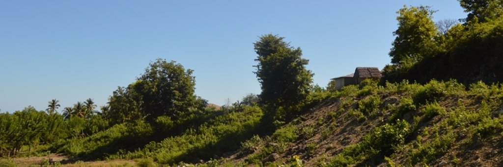 andriytulle's profile banner image