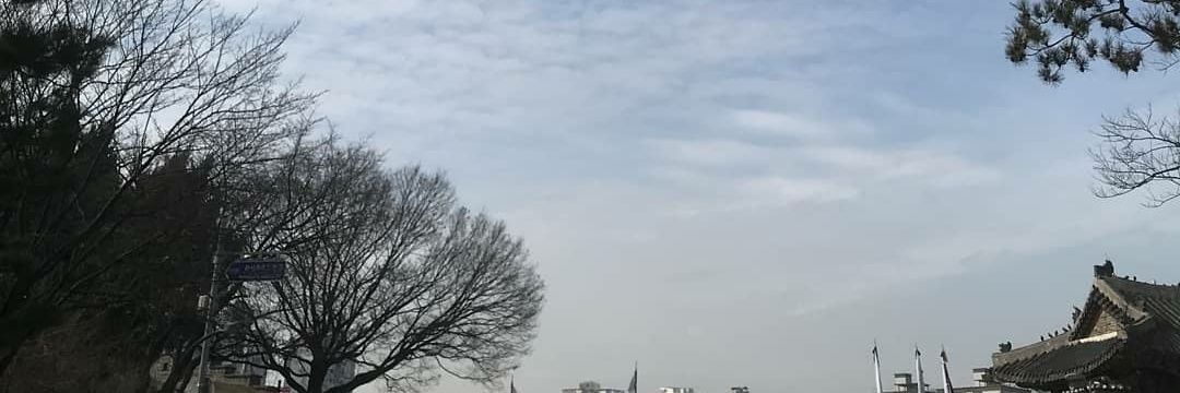 jekcoon's profile banner image