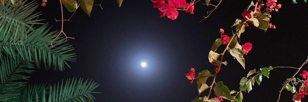 mf2Xx's profile banner image