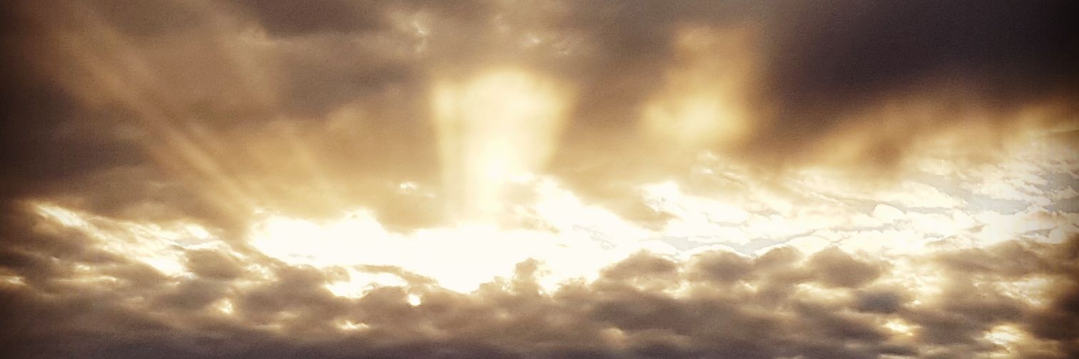 Wendy🇨🇦 🍁 banner