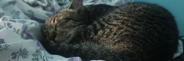 labloyyyyy Profile Banner