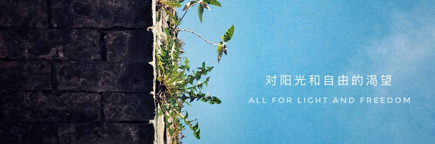 wqqinbox's profile banner image