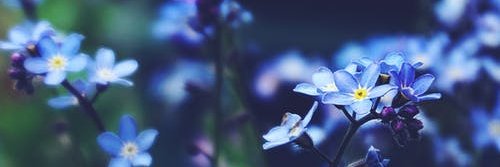 LeeAnnieeee's profile banner image