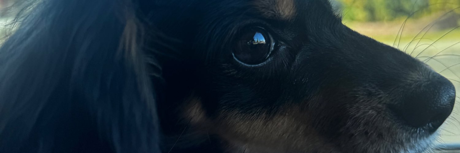 skylagomez_'s profile banner image