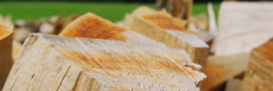 derhaslauer's profile banner image