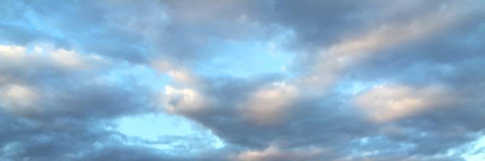 堀内進之介 banner