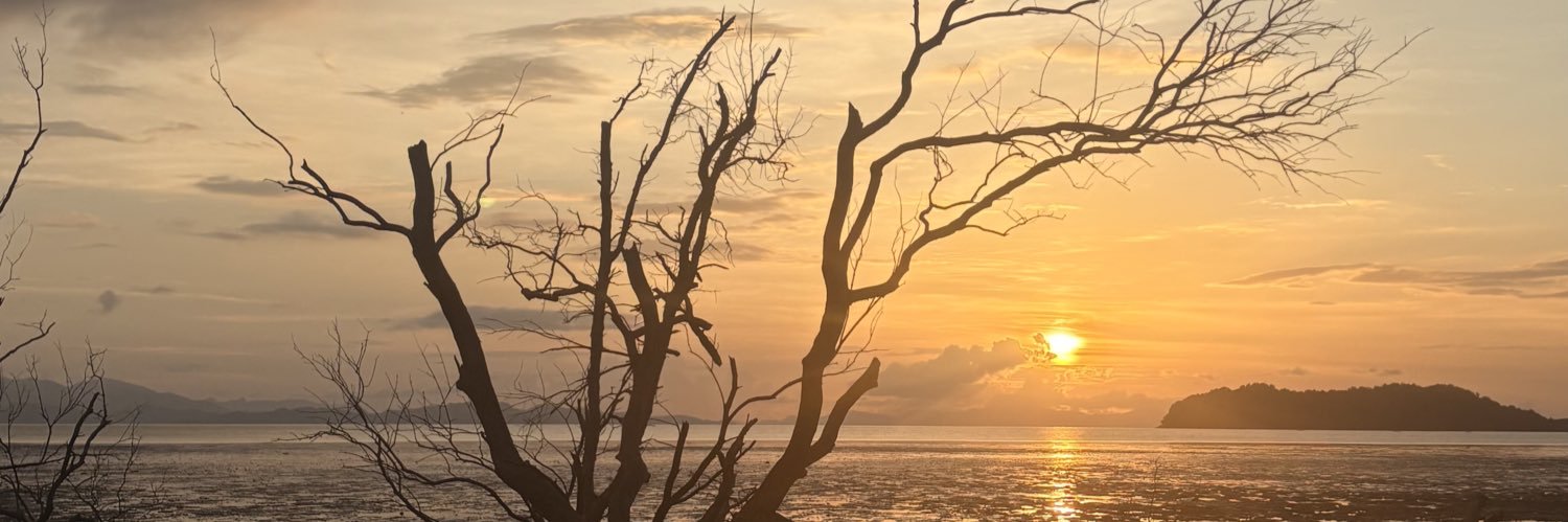 sufidnl's profile banner image