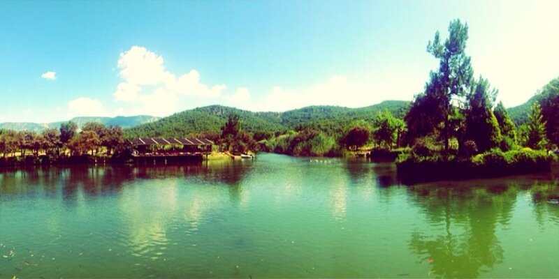 HandeEyupoglu's profile banner image