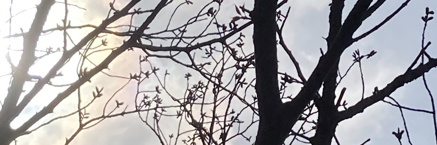 R42386353's profile banner image