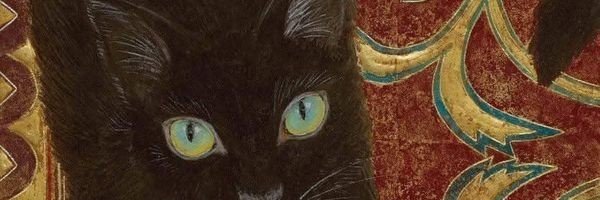 hveandback's profile banner image