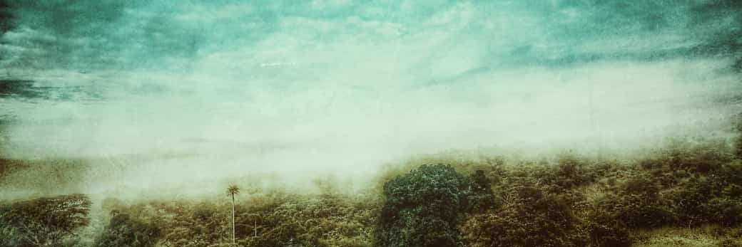 fayo_wole's profile banner image
