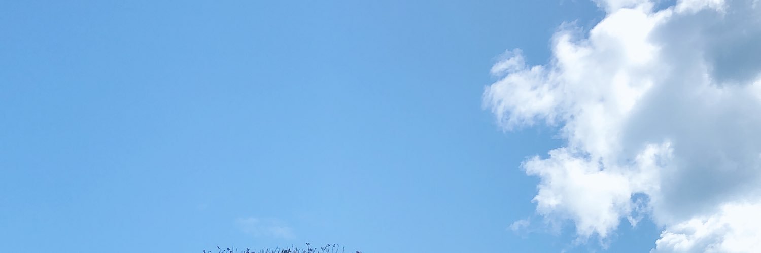 ShHui96's profile banner image
