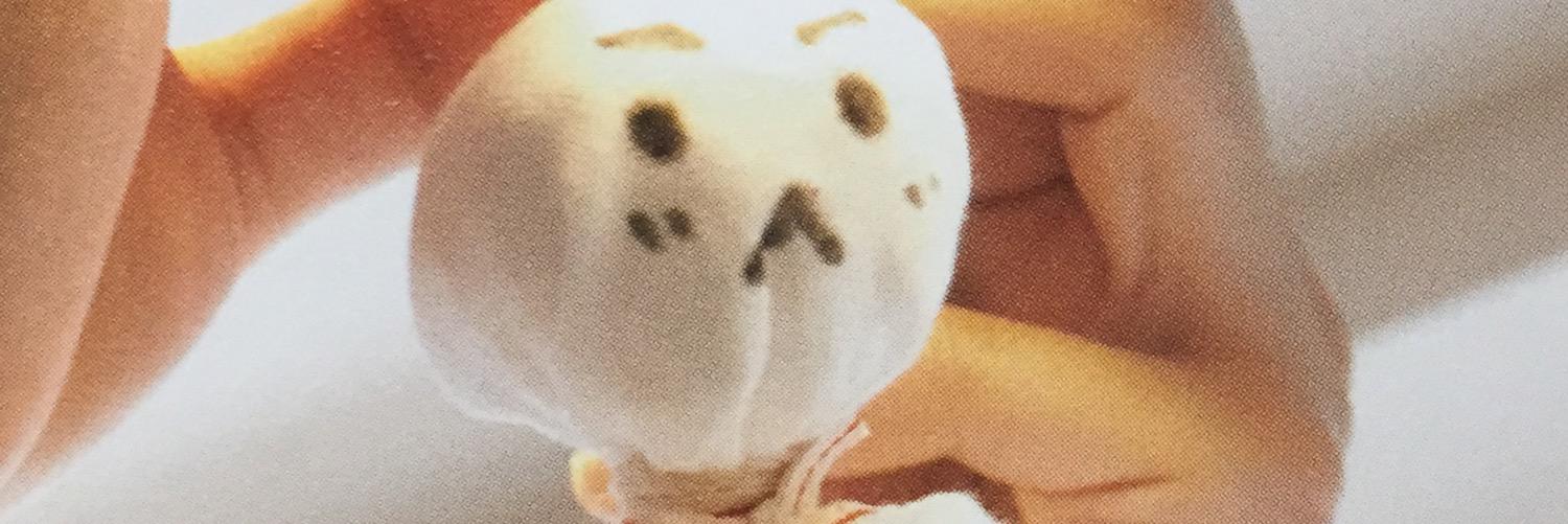 hamu_umah's profile banner image