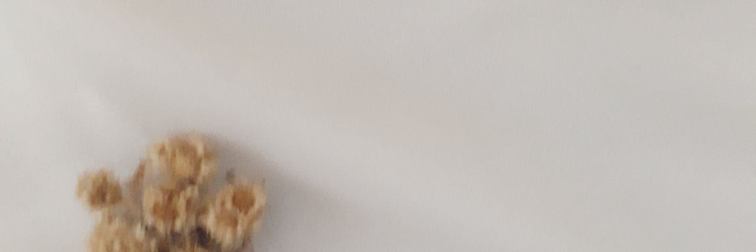 moccafloat___'s profile banner image
