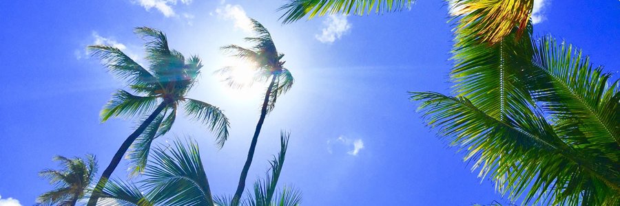 privpalm's profile banner image