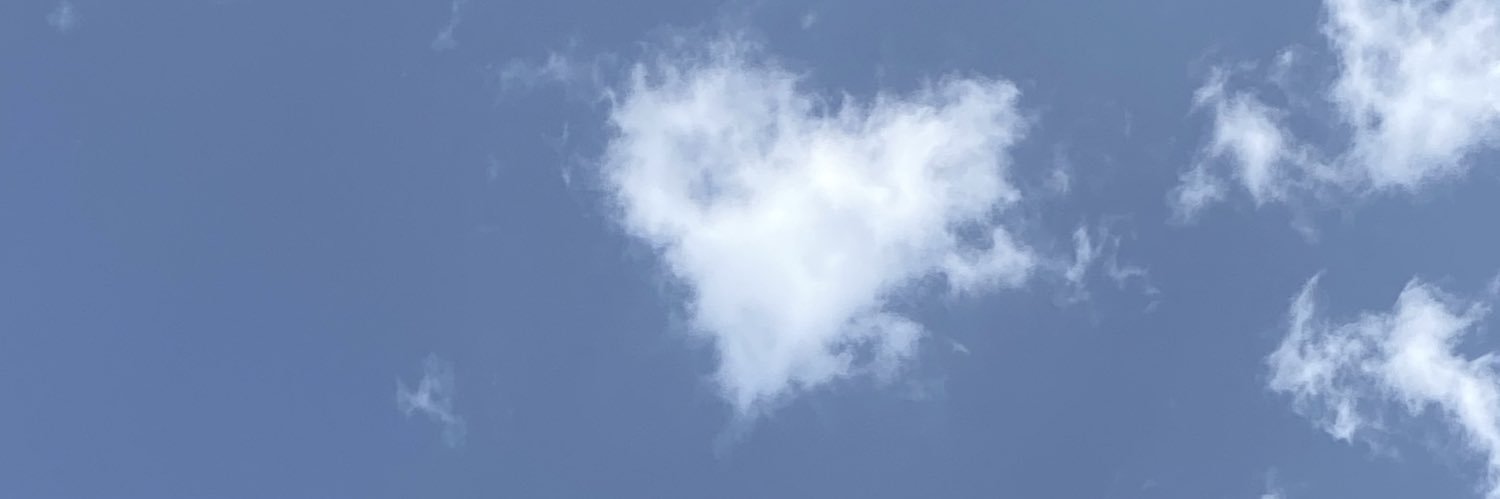 AlasfarAida's profile banner image